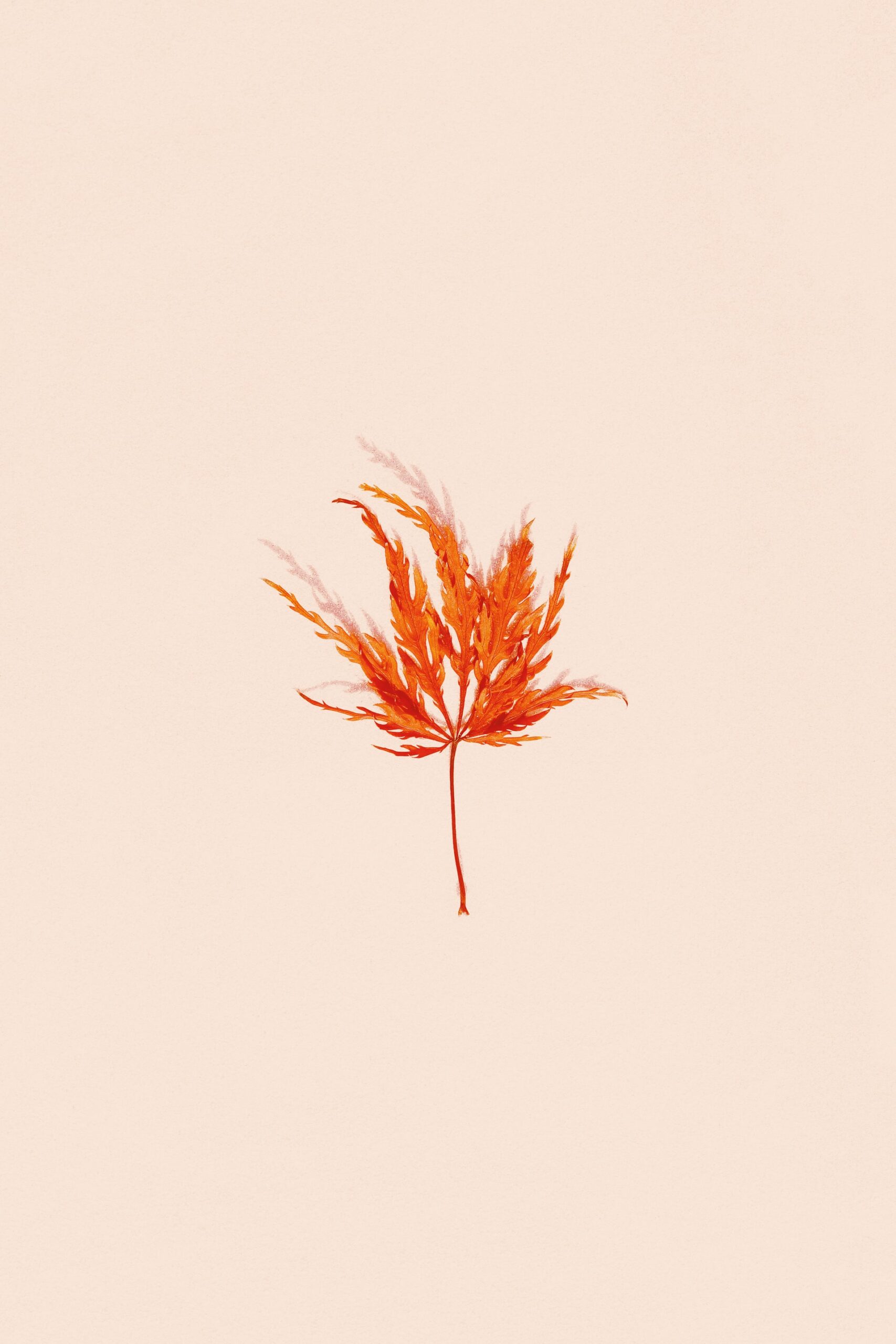 j lee reijlg9ggru unsplash
